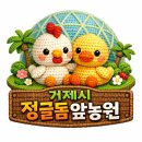 신선한농장 | 거제 유정란 추천 자연방목 농장 100% 신선한 달걀 구매 후기