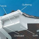 서호동-19 이미지