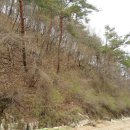 영심농장 이미지