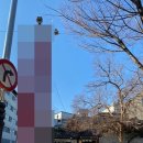 대해복어식당 이미지