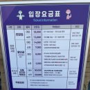 고성군 12 | 2025 고성공룡세계엑스포 공연 일정 준비물 꿀팁 총정리 아이와 함께한 생생 후기
