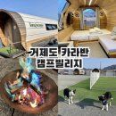 거제도카라반 캠프빌리지 애견동반 거제숙소