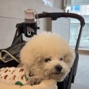 블루샥 동김해 DT점 이미지