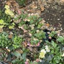 도고세탁소 이미지