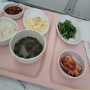 동물의왕국 동물병원 | 11월 일상 (서울대어린이병원 입원 및 수술/주사, 피 사진 주의)