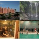 풀향기 휴양펜션 이미지