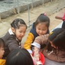 창현농장 이미지