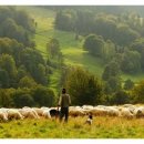 바산목장 이미지