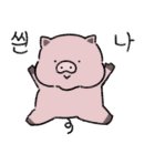 나니스쇼콜라