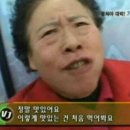 야타이 이미지