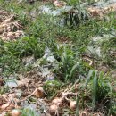 요셉농장 이미지