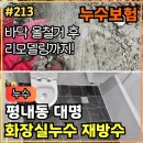 평내동14번길 1 | 213.[ 평내동누수 ] 평내 대명 화장실 누수 , 바닥 철거 및 재방수 작업 후기 (2부,완)