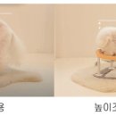 리틀화이트 이미지
