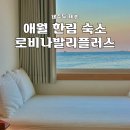 제주 애월 오션뷰 가성비 숙소 로비나발리플러스 펜션 후기