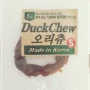 허니애견 이미지