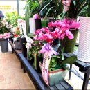 탁구교실(B) 이미지