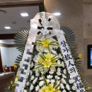 성애의료재단 성애병원 이미지