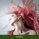 흥미이발관