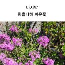 미호왕족발 이미지