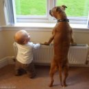 너랑나랑개랑 이미지