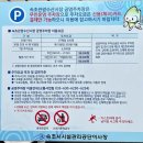 대박감자전 옥수수 | 속초 중앙시장 명물 대박감자전 후기 - 시장 감성 제대로!