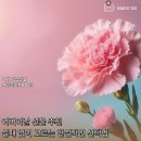 해찬펜션 | 어버이날 선물 추천 부모님 반응 좋았던 BEST 추천