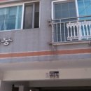 부흥초교 이미지