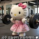 브리즈크로스핏 | 제주시 크로스핏 1일 체험 후기