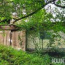 추곡약수터 이미지