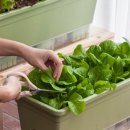 은진농장 이미지