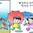 파란우산 노란우산 이미지