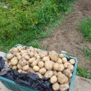 용방우체국 이미지