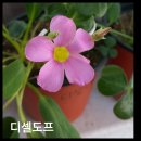 디셀