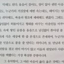 북로망스
