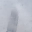 마야동물병원 이미지