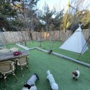 오성애견펜션 이미지