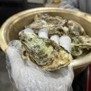 공지쉼터 | [공지] 겨울은 굴의 계절! 🦪 광양 중마동 굴찜 맛집 추천｜‘중동쉼터’ 내돈내산 후기