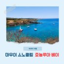 몽베이 | 하와이 마우이 스노클링 추천 비치 호놀루아 베이 비치