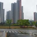 유니메디칼 이미지