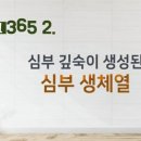 올리고365 이미지