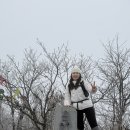 남망산주차장 공중화장실 | [충북] 청화산-구병산 1일2산 (2) 구병산 최단코스 등산후기 주차장 화장실 블랙야크100대명산