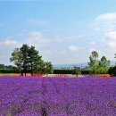 무재농장 이미지