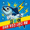 마동-47 | 전북 부안 변산 고등어 도보 워킹 루어 원투 서프 낚시 잘잡히는 포인트 추천