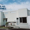제주더아르테미스