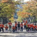 마로니에길 이미지