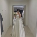 파티나인 | 💍베일즈 본식드레스 피팅후기(파티나·스테이시·마게티 비교)