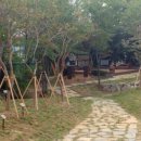 인천소양초 이미지