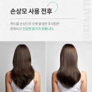 레삐