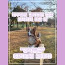 동락공원 반려동물 놀이터 이미지