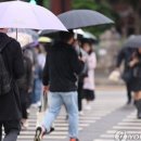 서초중앙로22길 114 이미지